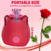 Vibrateur Suceur Clitoridien Rose – Stimulateur Point G & Mamelons pour Femme